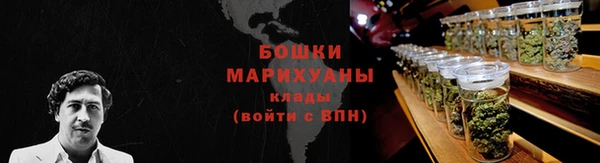 стафф Богданович