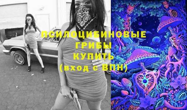 стафф Богданович