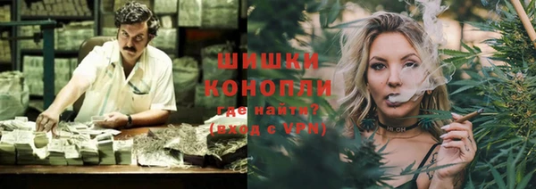 стафф Богданович