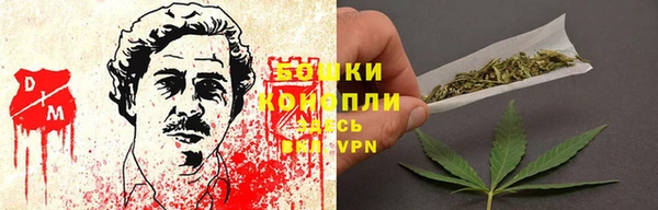 стафф Богданович