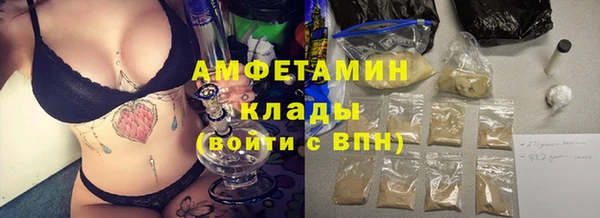 стафф Богданович