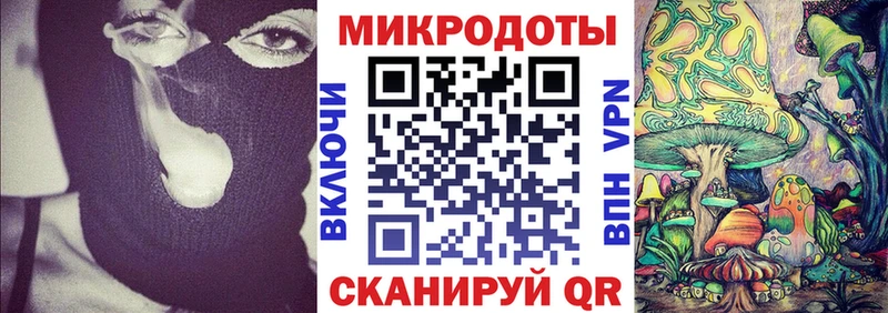 Галлюциногенные грибы Cubensis где купить наркоту Армавир